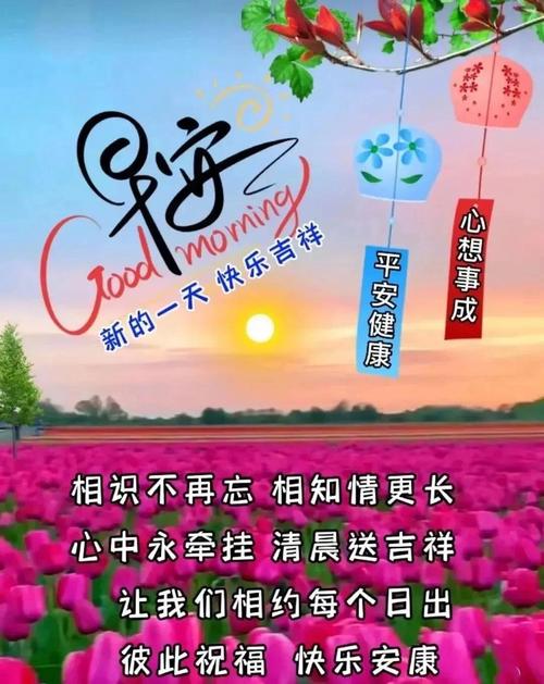 人生,因朋友而美好,朋友:因知心而幸福,好友,感恩有你,早安 第1张 人生,因朋友而美好,朋友:因知心而幸福,好友,感恩有你,早安 第1张