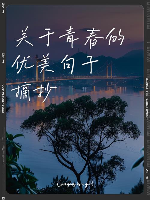 关于青春的文案短句干净治愈 第1张 关于青春的文案短句干净治愈 第1张
