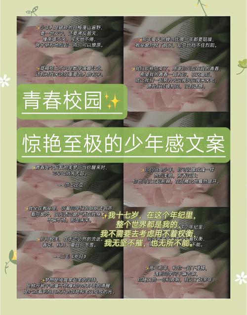 那些描写青春朝气蓬勃的文案 第1张 那些描写青春朝气蓬勃的文案 第1张