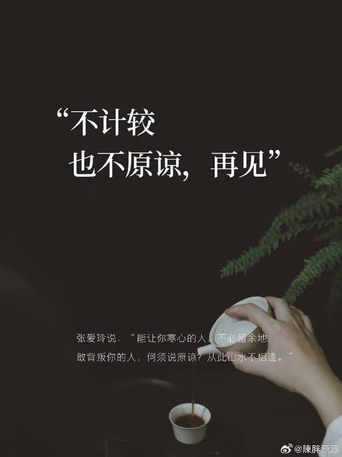 无力挽回的人，到此为止；无法挽留的情，就此结束  第1张