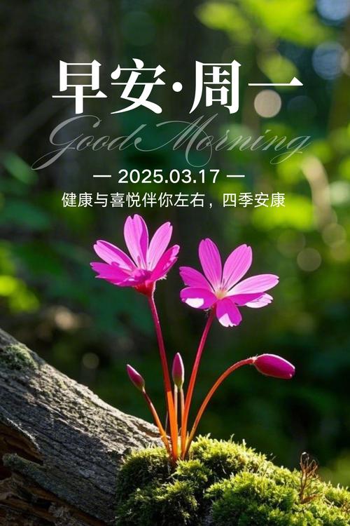 一年一年,是岁月流过的痕迹;一天一天,是健康成长的基础,早安 第1张 一年一年,是岁月流过的痕迹;一天一天,是健康成长的基础,早安 第1张