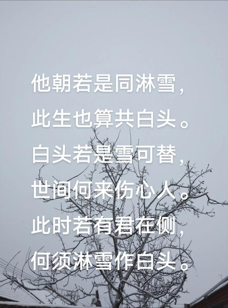 初雪：谁的前世，染指了微凉，谁的今生，执捻了落花  第1张