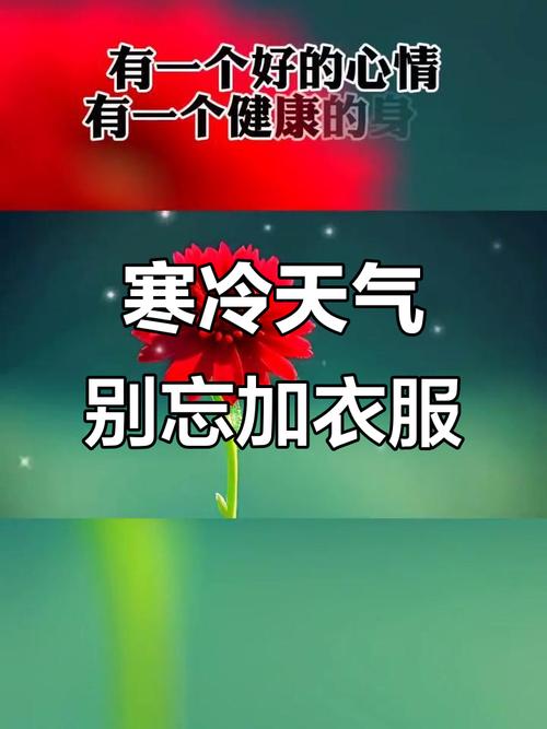 天冷多穿衣简单的祝福语,温暖美好,沁人心脾 第1张 天冷多穿衣简单的祝福语,温暖美好,沁人心脾 第1张