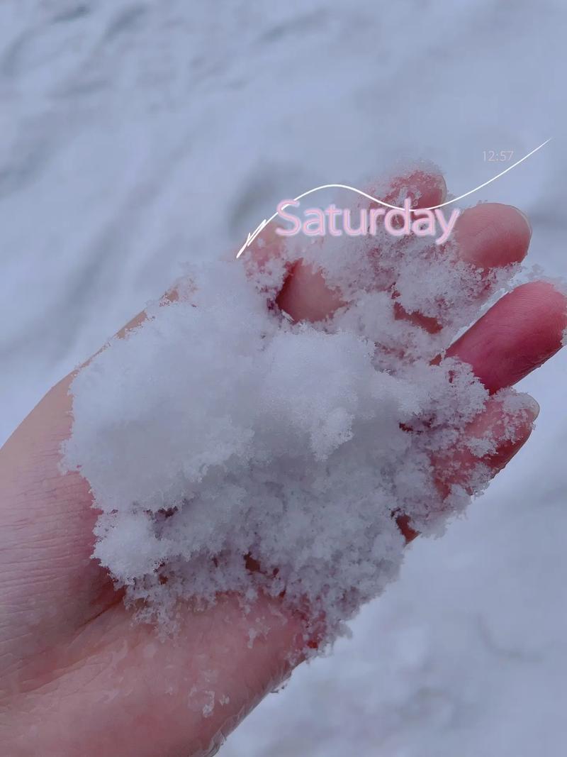 掌心的雪融化了,顺势指尖的温热 第1张 掌心的雪融化了,顺势指尖的温热 第1张