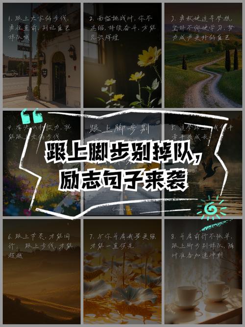 励志语录 你可以退场,但不可以迷失方向,要么出众,要么出局 第1张 励志语录 你可以退场,但不可以迷失方向,要么出众,要么出局 第1张