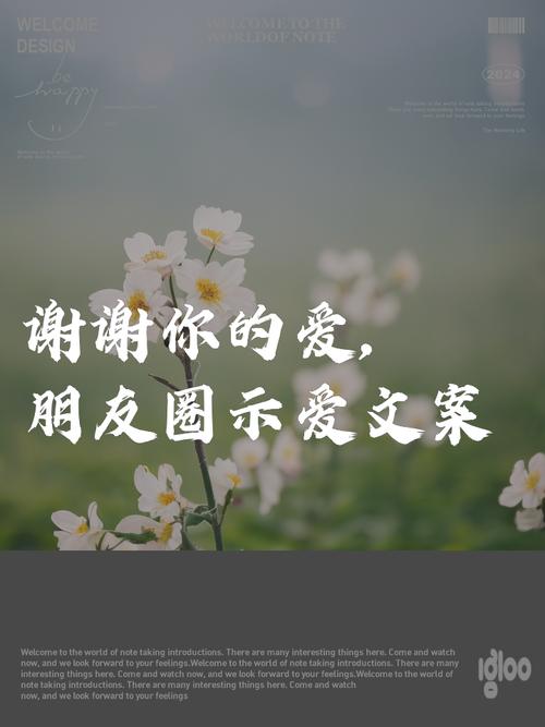 谢谢你在我的朋友圈! 第1张 谢谢你在我的朋友圈! 第1张