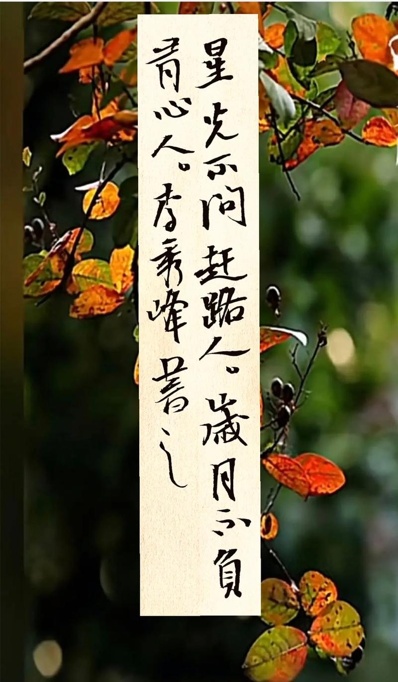 「每日一句」星光不问赶路人,时光不负有心人 第1张 「每日一句」星光不问赶路人,时光不负有心人 第1张
