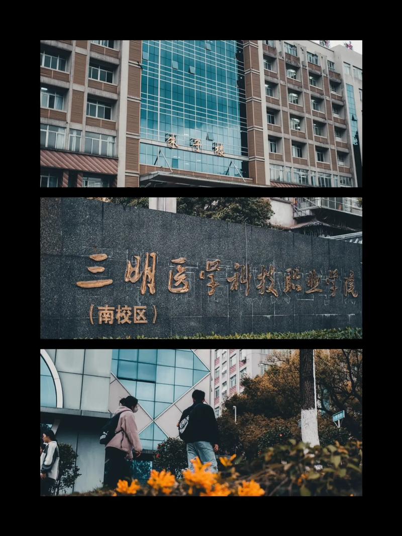 三明医学科技职业学院在湖南2026各专业招生人数、录取分数线(附:招生计划表) 第1张 三明医学科技职业学院在湖南2026各专业招生人数、录取分数线(附:招生计划表) 第1张