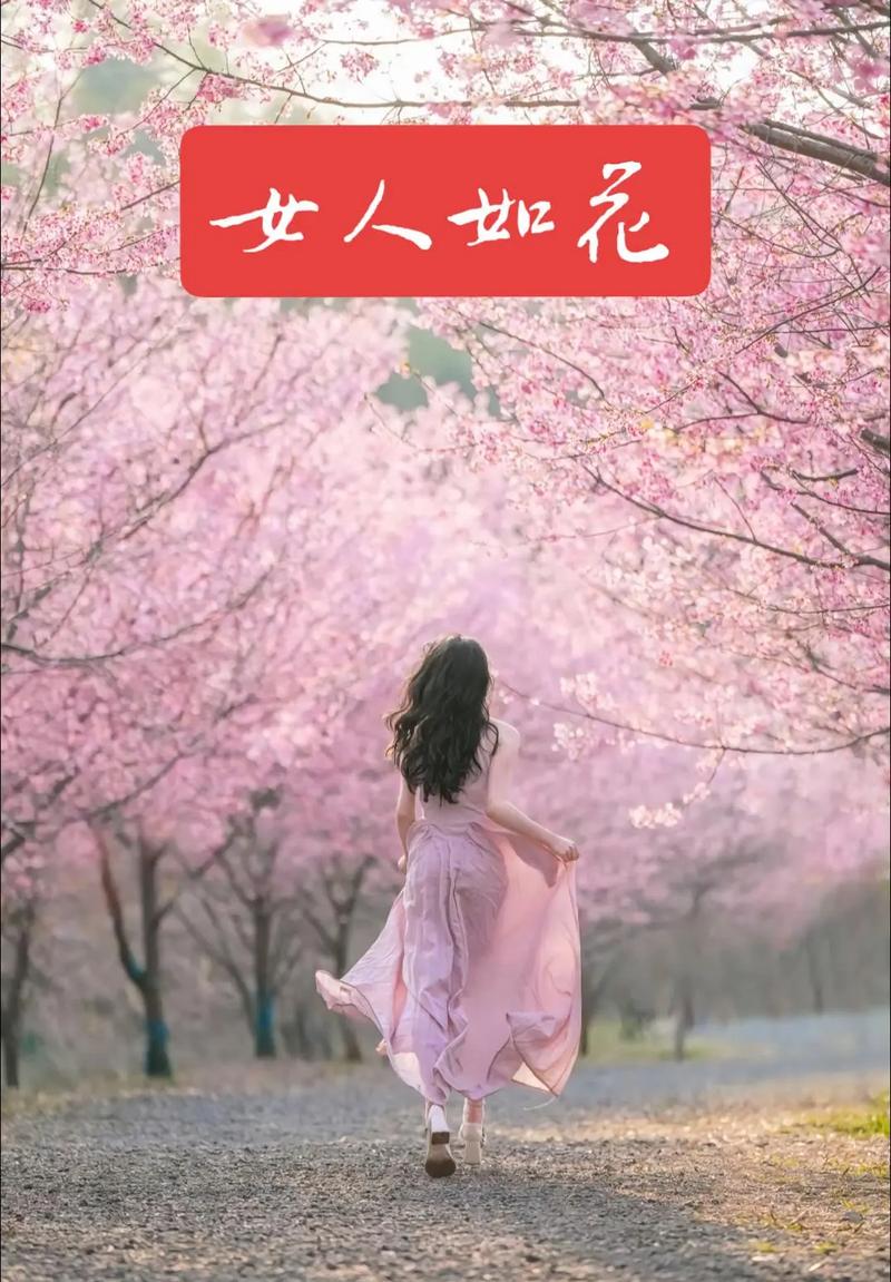 女人如花的唯美句子 第1张 女人如花的唯美句子 第1张