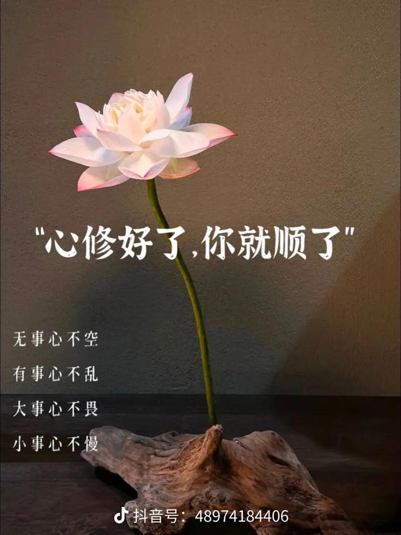 心中无烦，心自安；放下昨天，风云淡，静心看世界，事事皆美好  第1张