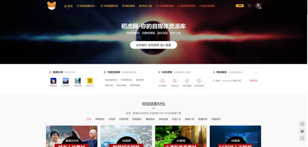 掌上高考官网入口是什么(2026最新登录网址) 第1张 掌上高考官网入口是什么(2026最新登录网址) 第1张