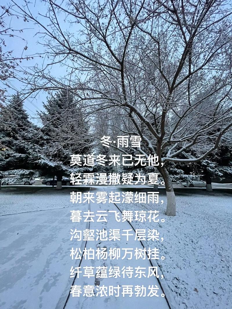 雨夹雪的唯美句子，诗意舞动的冬日之美  第1张
