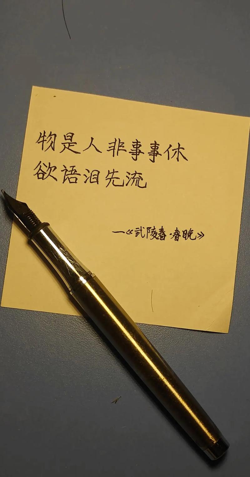 物是人非，感慨苍白  第1张