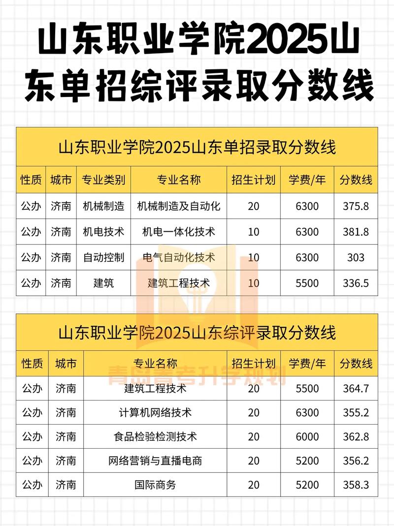 2025年聊城职业技术学院在山东录取分数线是多少(2025~2023近三年分数位次) 第1张 2025年聊城职业技术学院在山东录取分数线是多少(2025~2023近三年分数位次) 第1张