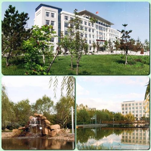 黑龙江生态工程职业学院2025年录取分数线(在各省录取最低分是多少) 第1张 黑龙江生态工程职业学院2025年录取分数线(在各省录取最低分是多少) 第1张
