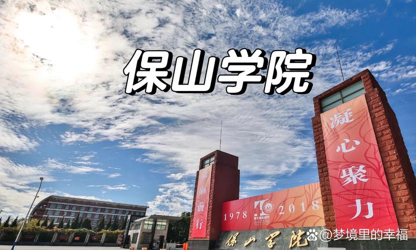 保山有哪些大学?保山的大学排名2026最新「附分数线」 第1张 保山有哪些大学?保山的大学排名2026最新「附分数线」 第1张