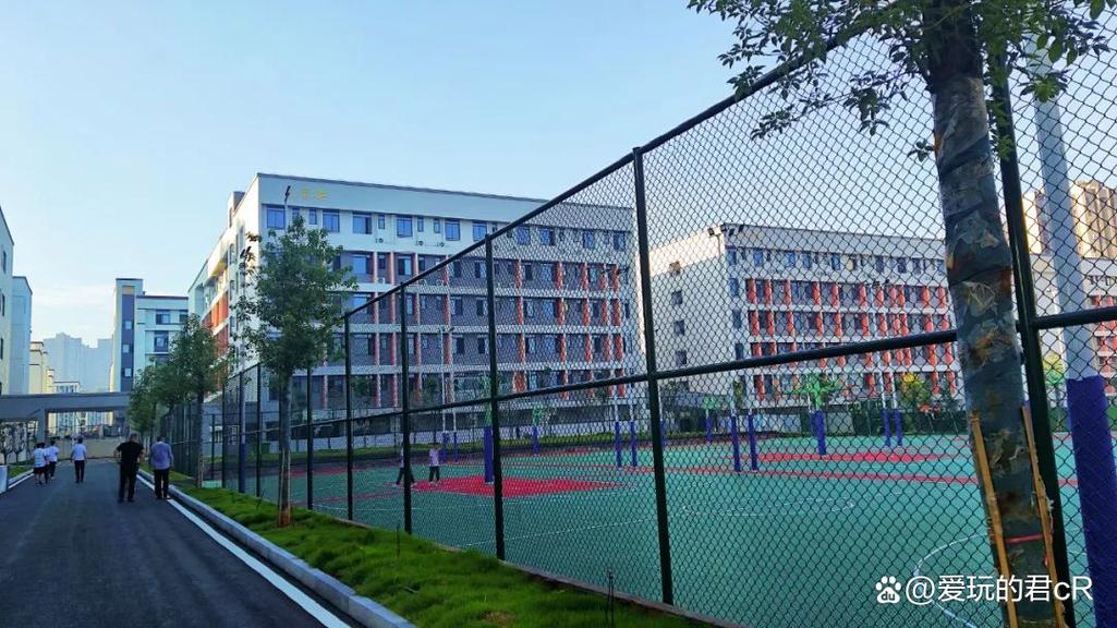 2025湖南现代物流职业技术学院录取分数线是多少「在各省录取最低分」 第1张 2025湖南现代物流职业技术学院录取分数线是多少「在各省录取最低分」 第1张
