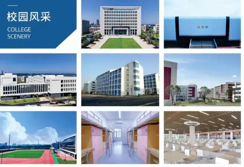 2025湖南吉利汽车职业技术学院录取分数线是多少「在各省录取最低分」  第1张