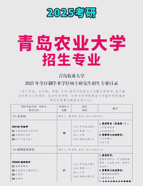 青岛农业大学2025年在新疆录取分数线是多少(2025~2023近三年分数位次) 第1张 青岛农业大学2025年在新疆录取分数线是多少(2025~2023近三年分数位次) 第1张