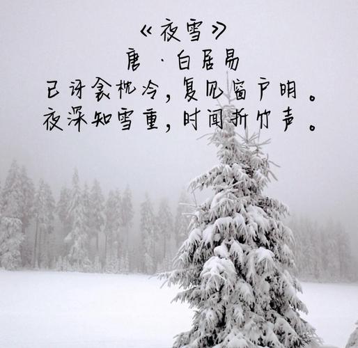《唐诗三百首》里最经典的三首冬雪诗,唯美而温暖,治愈整个冬天 第1张 《唐诗三百首》里最经典的三首冬雪诗,唯美而温暖,治愈整个冬天 第1张
