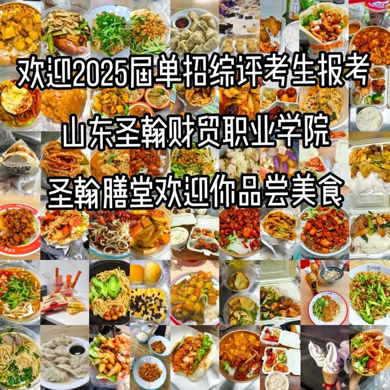 山东圣翰财贸职业学院在浙江录取分数线2025年是多少(2025~2023近三年分数位次) 第1张 山东圣翰财贸职业学院在浙江录取分数线2025年是多少(2025~2023近三年分数位次) 第1张