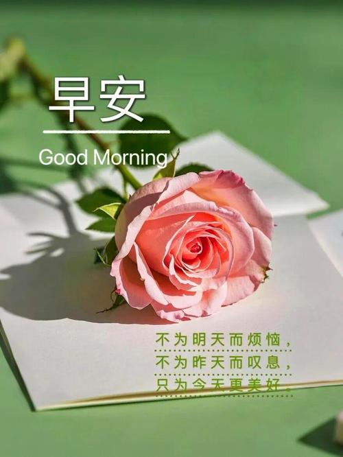 “早上起床必看的励志句子❤” 第1张 “早上起床必看的励志句子❤” 第1张