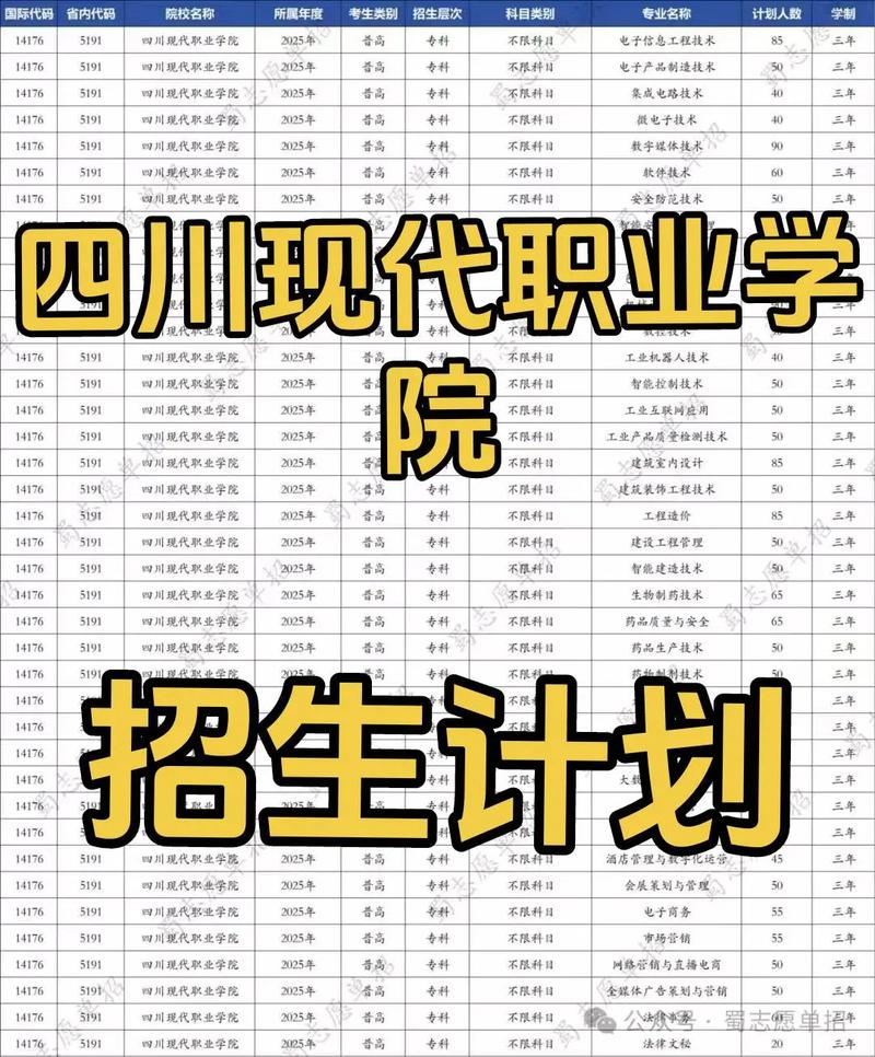 2025四川现代职业学院录取分数线是多少「在各省录取最低分」 第1张 2025四川现代职业学院录取分数线是多少「在各省录取最低分」 第1张