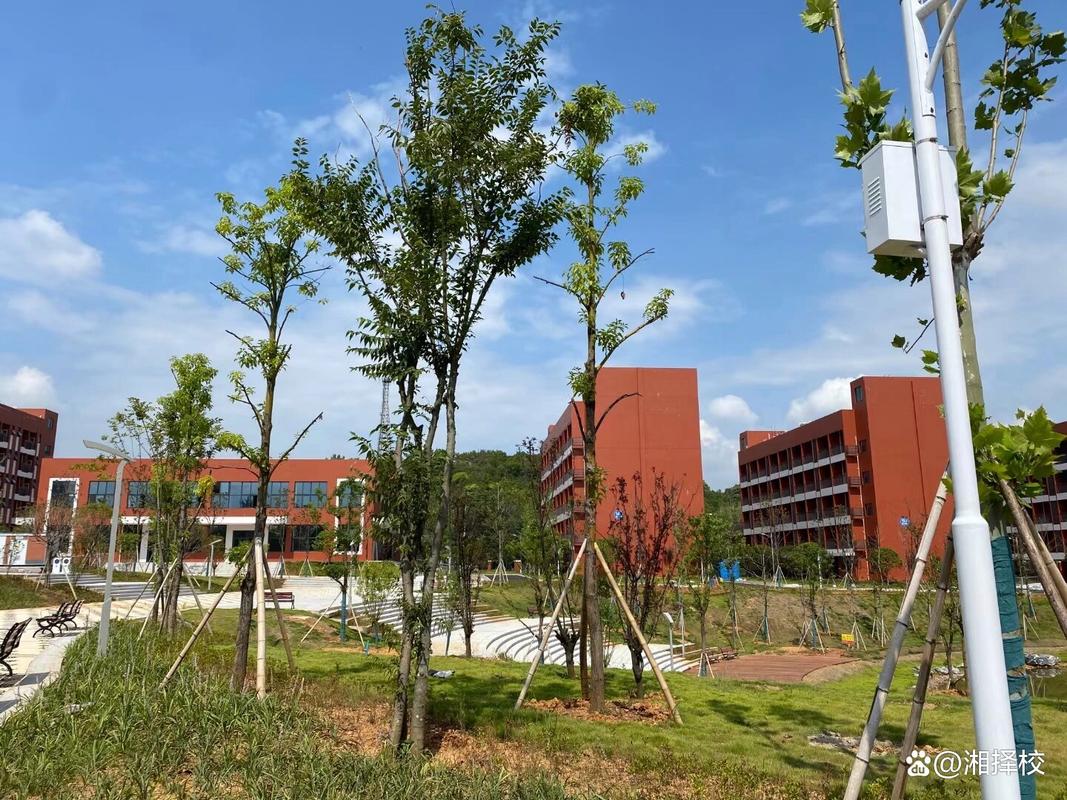 2026邵阳工业职业技术学院招生网首页(附:招生办电话) 第1张 2026邵阳工业职业技术学院招生网首页(附:招生办电话) 第1张