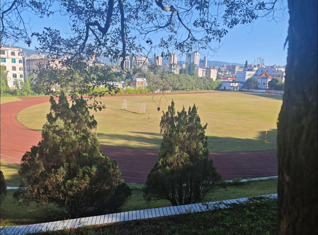 2025滇西科技师范学院录取分数线是多少「在各省录取最低分」 第1张 2025滇西科技师范学院录取分数线是多少「在各省录取最低分」 第1张