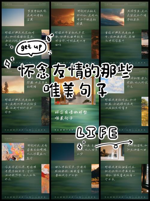 友情唯美句子 第1张 友情唯美句子 第1张