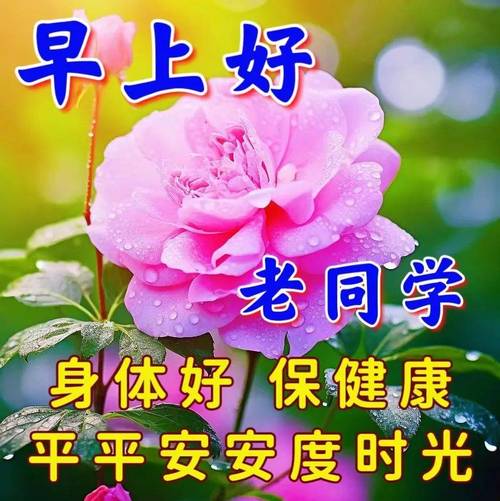 中老年简短问候祝福语，老同学清晨问好句子  第1张