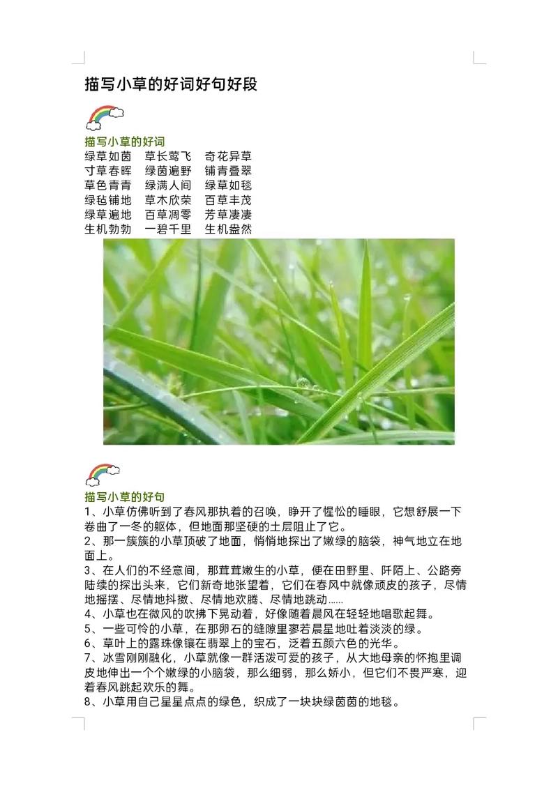 描写植物的好词好句好段及范文!速速收藏 第1张 描写植物的好词好句好段及范文!速速收藏 第1张