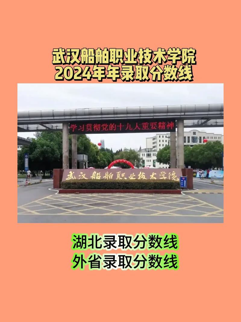 2025武汉船舶职业技术学院录取分数线（在各省录取最低分是多少）  第1张