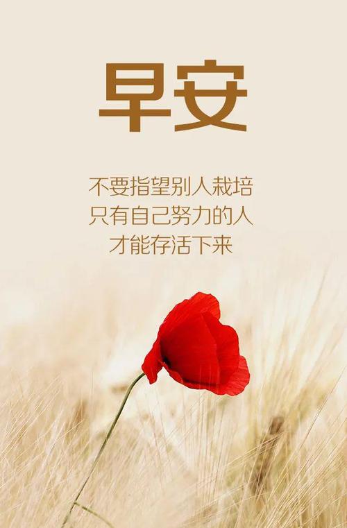 微信早晨最精辟的励志语录精选,总有一句激励你前行 第1张 微信早晨最精辟的励志语录精选,总有一句激励你前行 第1张