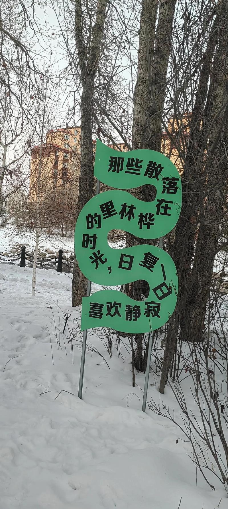 漫步林中,静听风吟,忆往昔 第1张 漫步林中,静听风吟,忆往昔 第1张