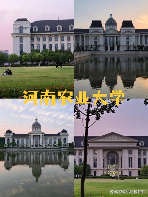 河南农业大学在山东录取分数线、位次、招生人数(2023-2025招生计划) 第1张 河南农业大学在山东录取分数线、位次、招生人数(2023-2025招生计划) 第1张