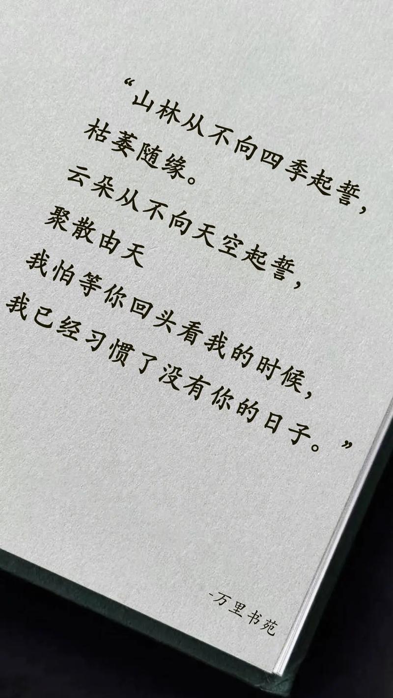 没有你的日子,我攒了太多的话语 第1张 没有你的日子,我攒了太多的话语 第1张