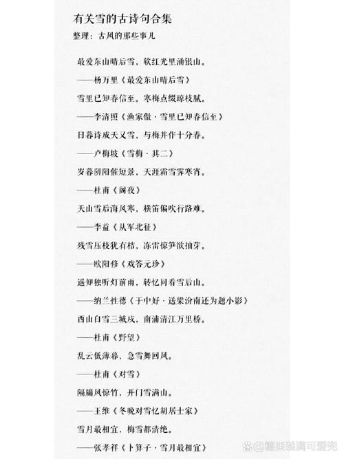 【诗词鉴赏】飞雪逗年华,十二首对雪的诗词,让我们欣赏最美的雪 第1张 【诗词鉴赏】飞雪逗年华,十二首对雪的诗词,让我们欣赏最美的雪 第1张