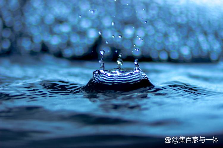 滴水之恩当涌泉相报  第1张