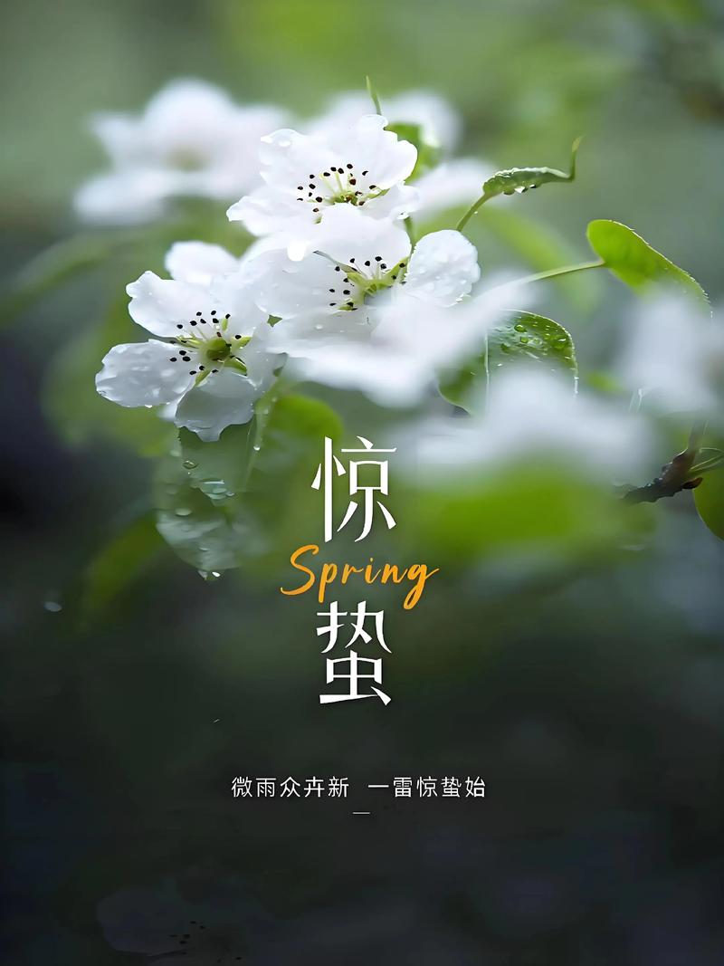 一声惊雷万蛰醒，涅槃重生踏春行  第1张