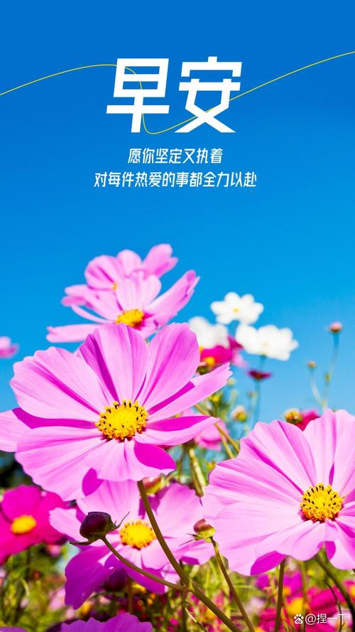 阳光正能量的励志说说短语，发朋友圈人见人爱  第1张