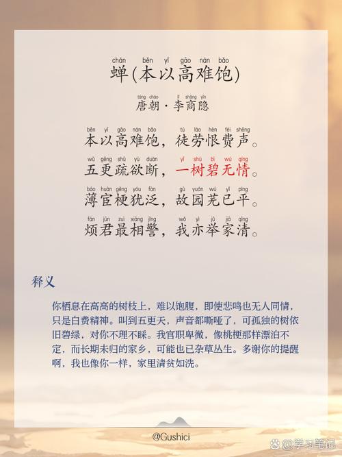 蝉鸣一夏，无问西东  第1张
