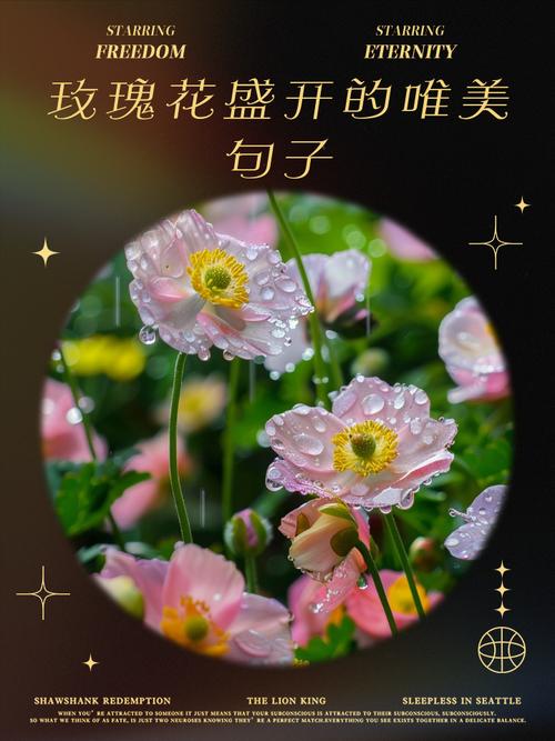 还可以这样写花？花的光芒，闪耀着永恒的美丽  第1张