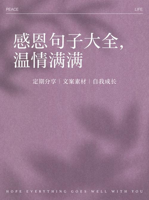 暖心的感恩语录，送给知恩图报的你  第1张