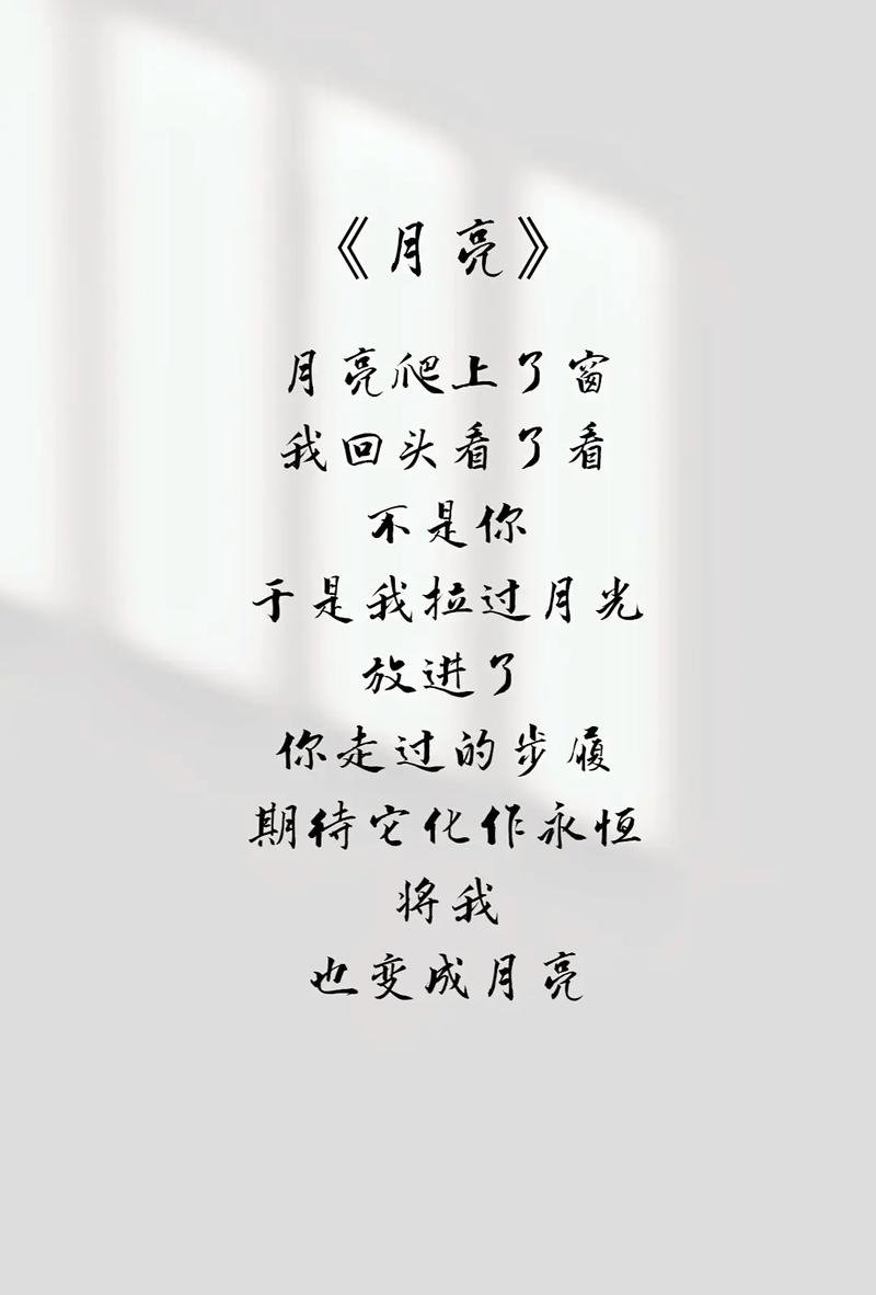 当我老了，我依旧在黑暗里寻找着白色的月光……  第1张