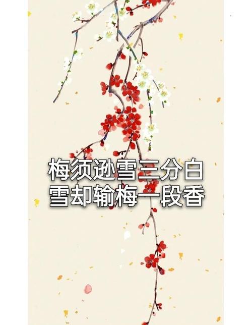“樱桃千万枝,照耀如雪天”,看樱桃花开皎皎白如雪 第1张 “樱桃千万枝,照耀如雪天”,看樱桃花开皎皎白如雪 第1张