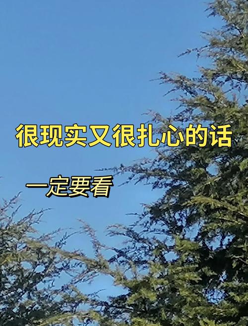 很现实的情感句子:精致走心,每一句都是实实在在的真理 第1张 很现实的情感句子:精致走心,每一句都是实实在在的真理 第1张