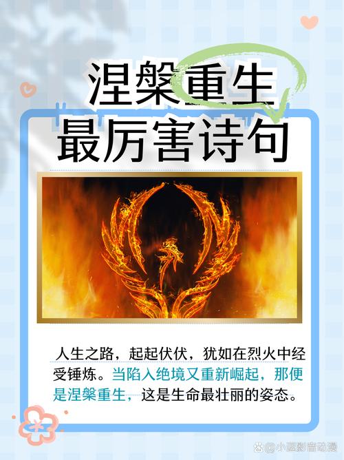 涅槃重生,做真实的自我 第1张 涅槃重生,做真实的自我 第1张