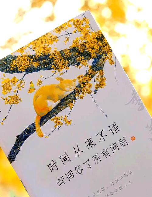 夜读丨季羡林经典的7句话，干净通透  第1张