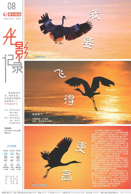 我要飞得更高  第1张